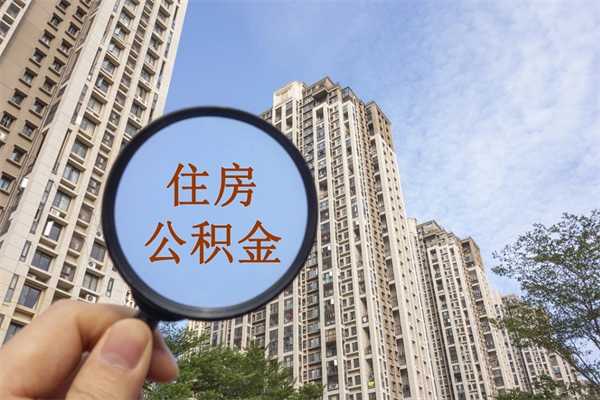 金华住房公积金怎么提（怎样提取住房公基金）